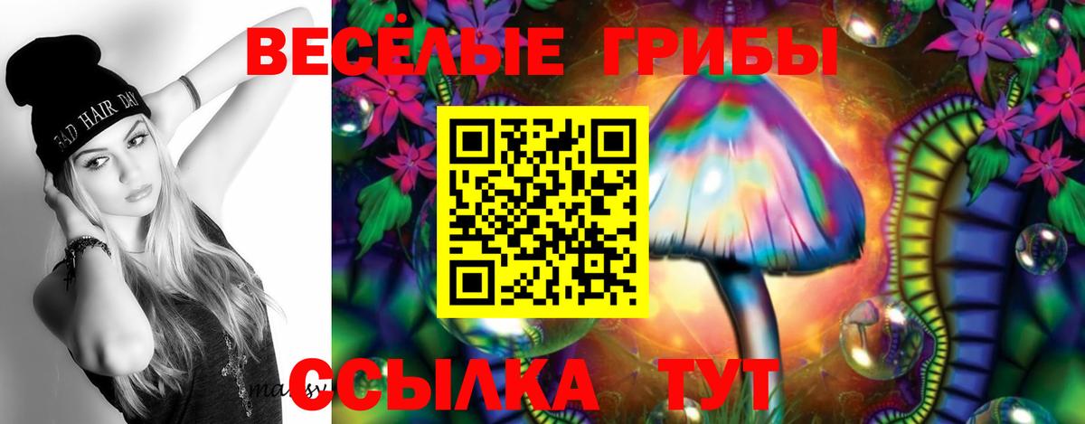 Галлюциногенные грибы MAGIC MUSHROOMS Калач-на-Дону