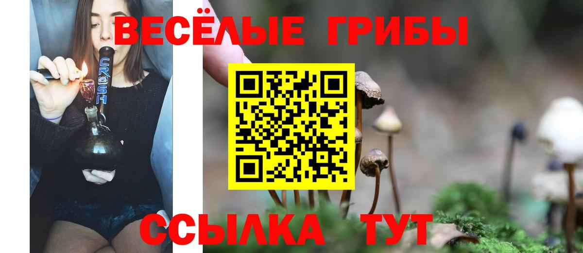 Калач-на-Дону  хочу   Вход с VPN  Псилоцибиновые грибы мухоморы 